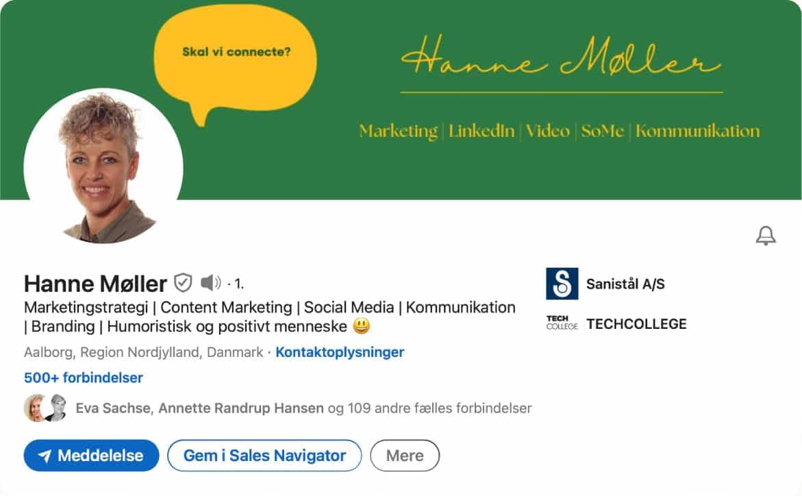 Eksempel på LinkedIn profil med Hanne Møller