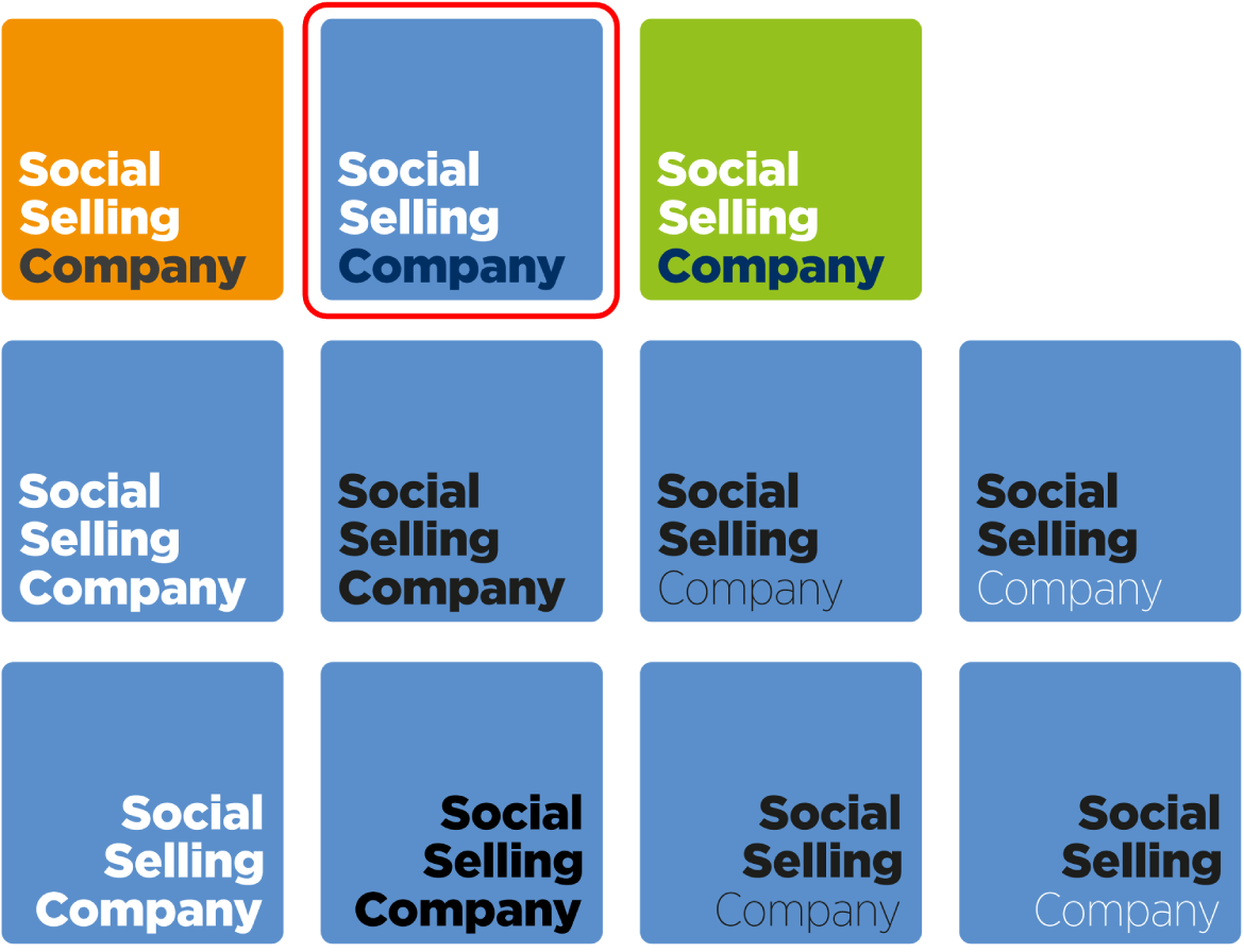 Her kan du se de forslag til logoer som vi arbejdede med da vi startede Social Selling Company