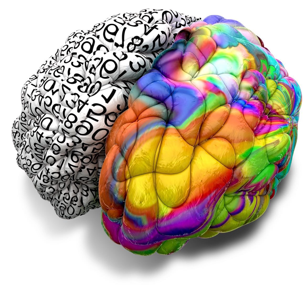 Hjernen husker visuelt indhold op til 400 procent bedre end tekst